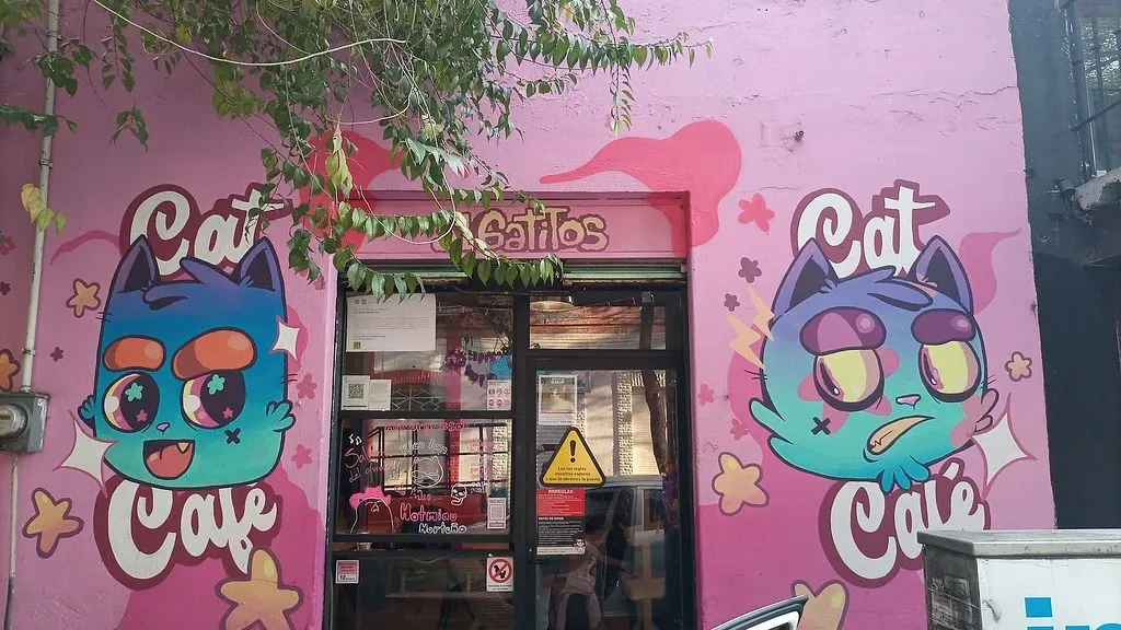 Fachada do 31 Gatitos