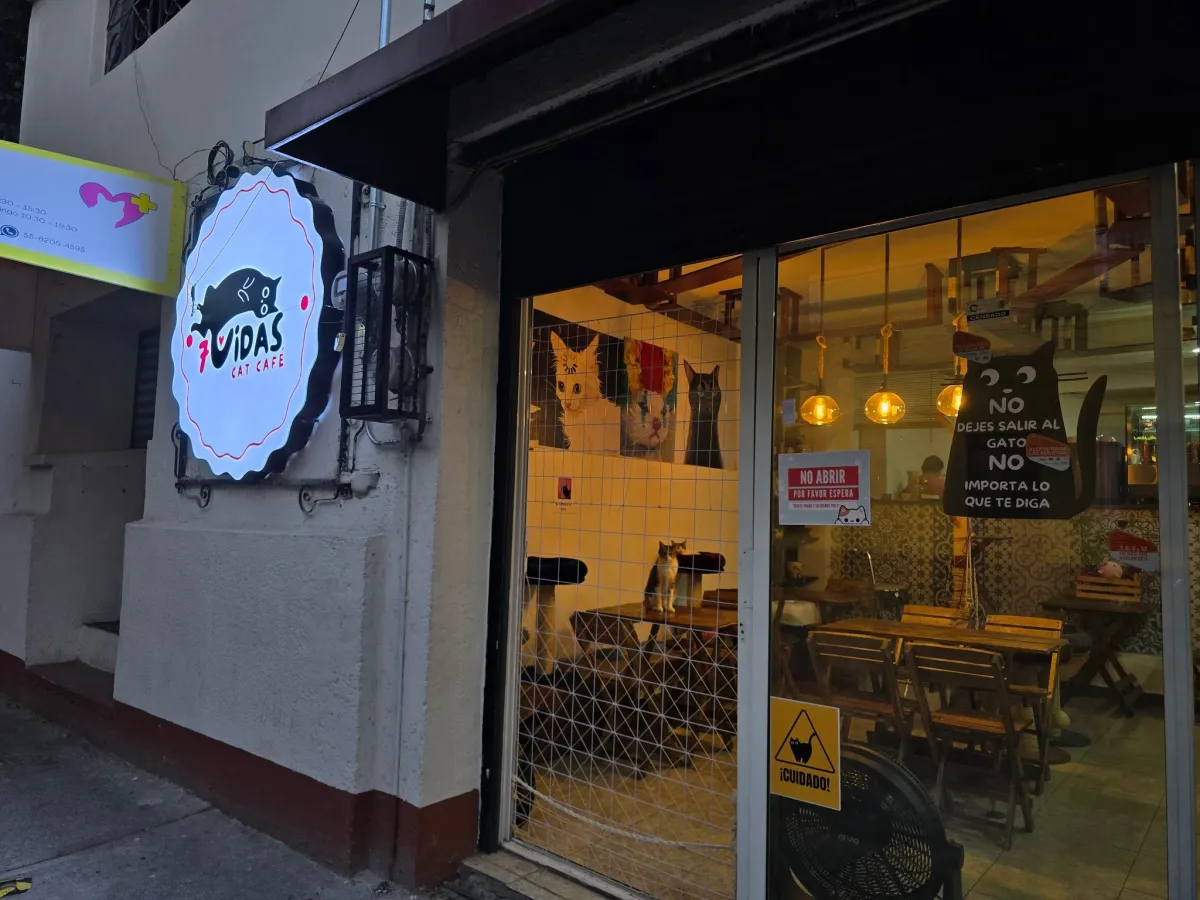 Fachada do 7 Vidas Cat Café