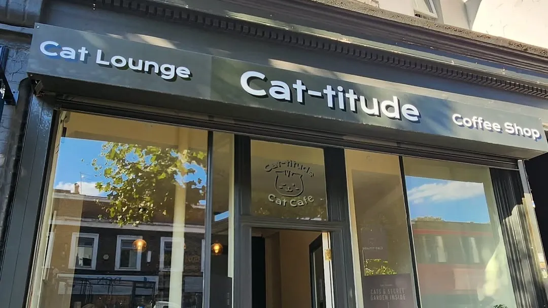 Cat-titude Cat Cafe exterior