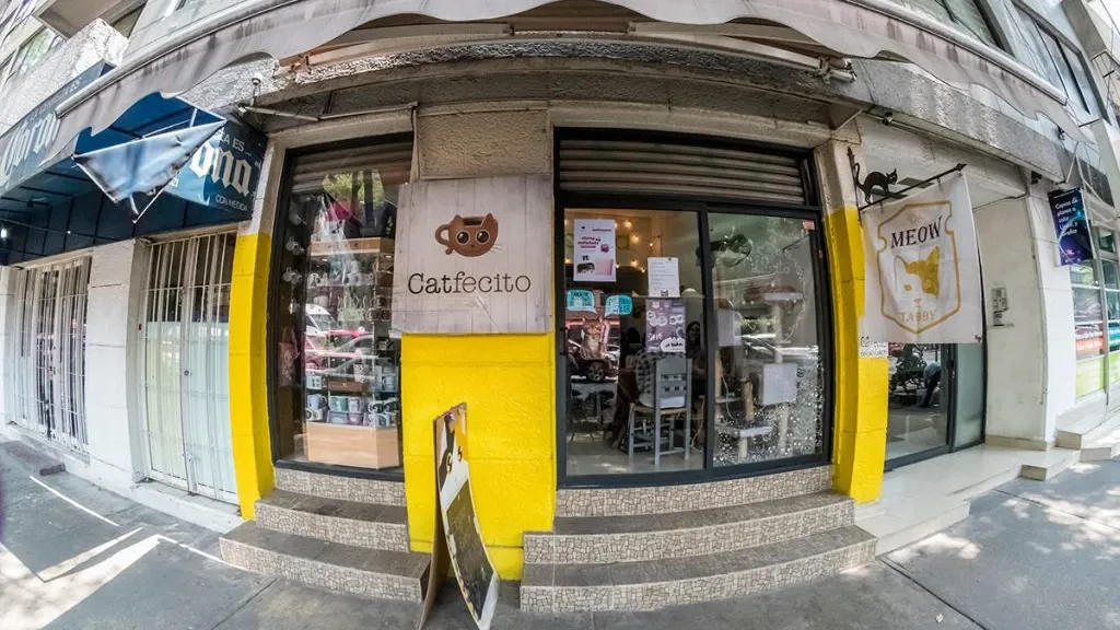 Fachada do Catfecito