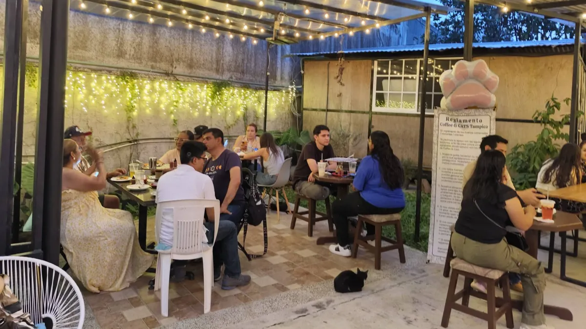 Interior do Coffee & CATS Tampico