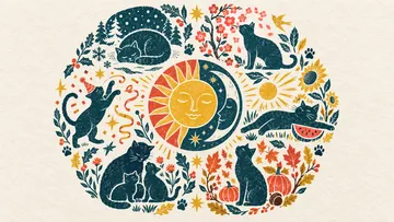 国際猫の日はいつ？アメリカの全米猫の日など、1年間の猫の記念日まとめ