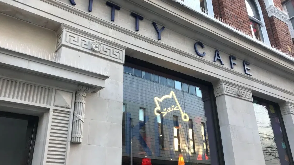 Kitty Cafe Leeds exterior"