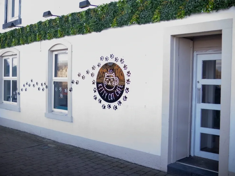 Kitty Cat Cafe Ayr exterior"