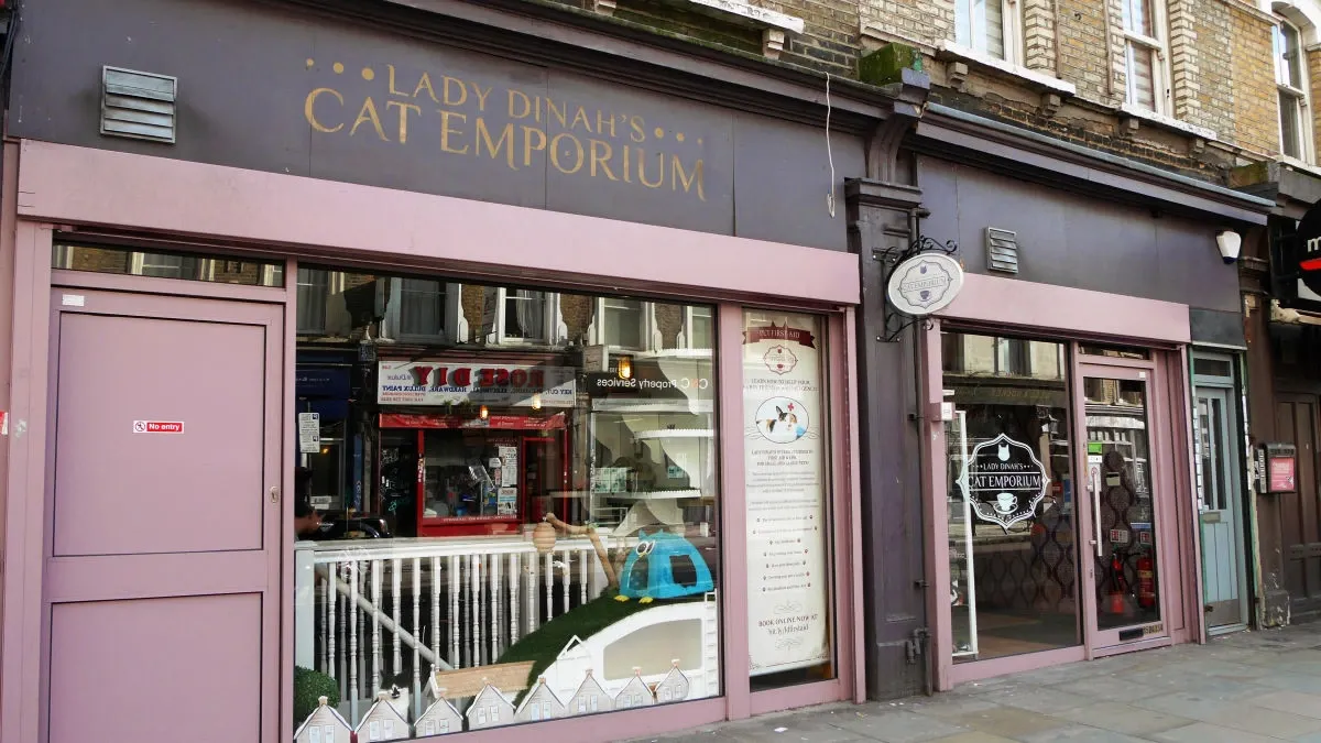 Lady Dinah's Cat Emporium exterior"