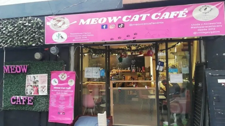 Fachada do Meow Cat Café CDMX
