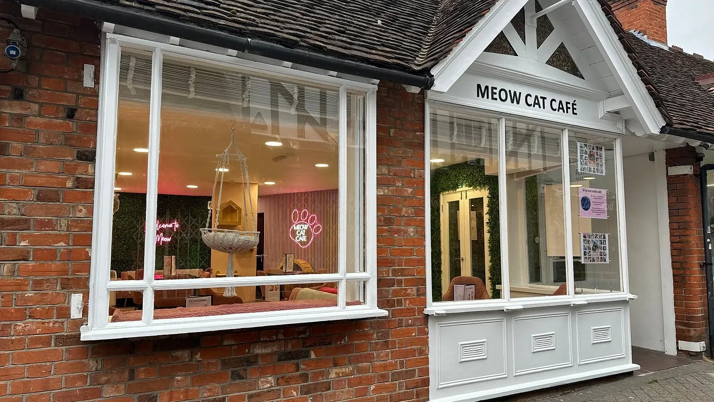 Meow Cat Cafe Colchester exterior"