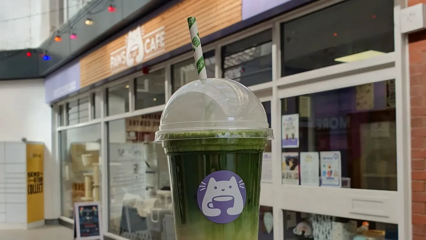 Paws Cat Cafe exterior"