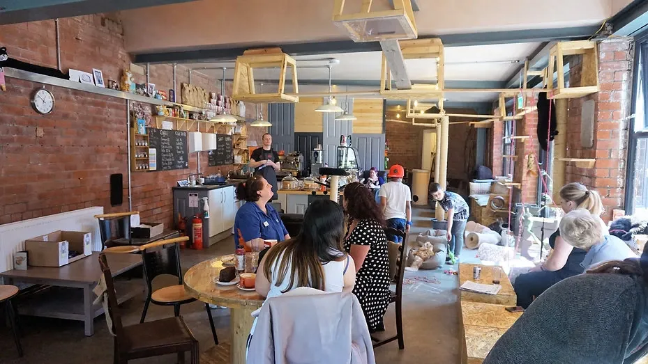 Tabby Teas Cat Cafe interior"