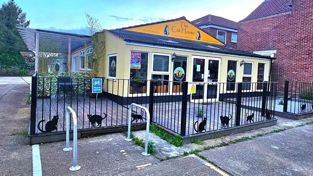 The Cat House Norwich exterior"