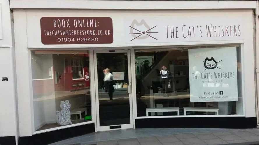 The Cat's Whiskers York exterior"