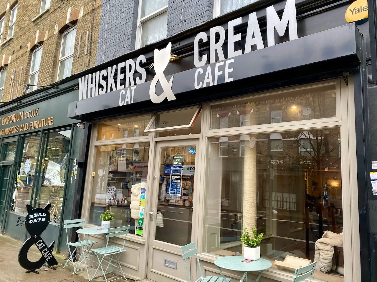 Whiskers and Cream London exterior"